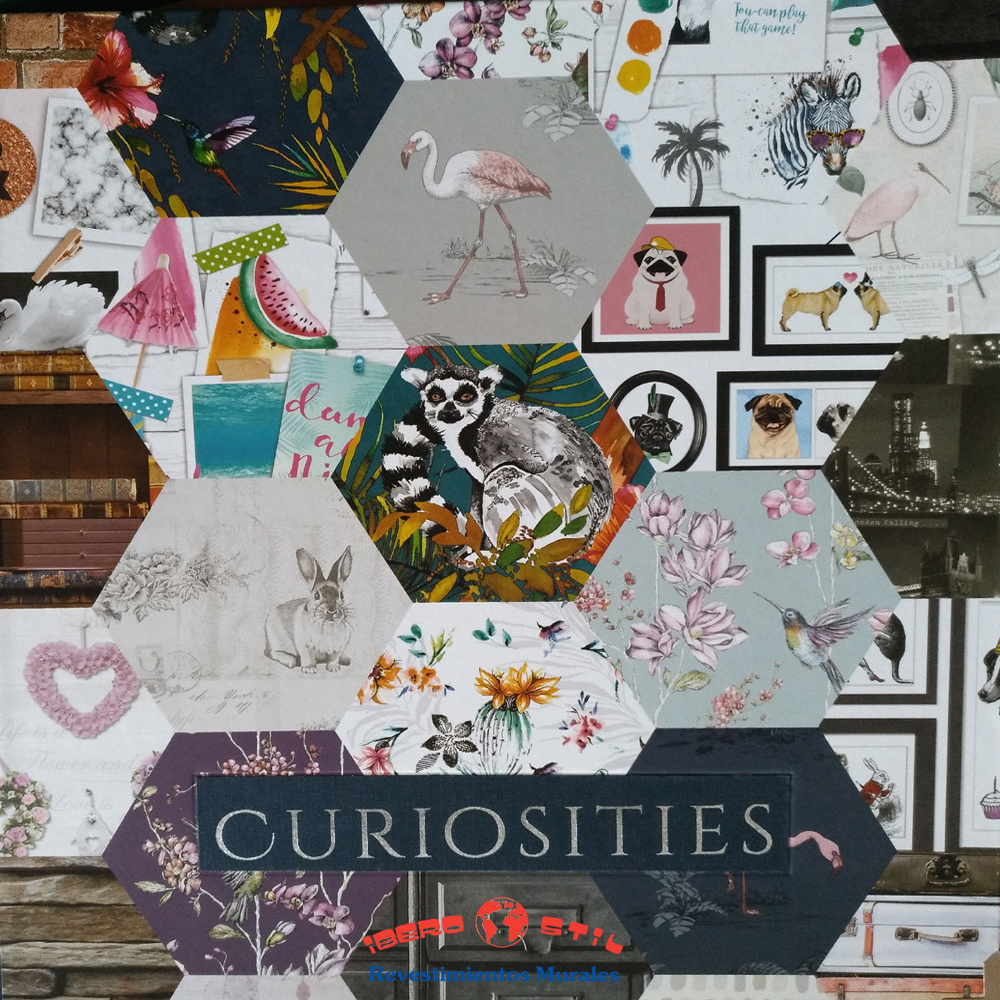 Curiosities.jpg
