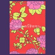 papel pintado infantil y juvenil pietersita de la colección cozz kek papel pintado